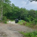 치악산둘레길 9코스 자작나무길 이미지