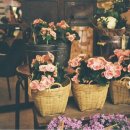 대한꽃집 이미지