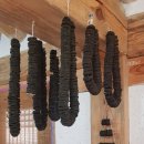보림사 - 816 | 천 년의 향기, 죽로차(竹露茶)