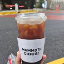 매머드익스프레스여의도공원점