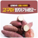 강원이벤트 네이버블로그