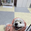 놀면멍하냥 이미지