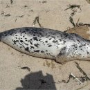 영덕경찰서 옆 이미지