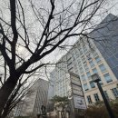 산업은행빌딩 | 여의도 맛집 초밥 일품 점심 웨이팅 후기 (+메뉴 추천) 벚꽃명소