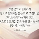 돌머리아저씨 이미지