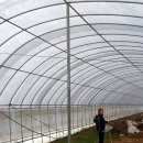 승규농장 이미지