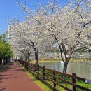 청수호수공원 이미지