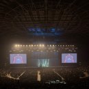 고상지전 「고상지의 반도네온 콘서트」 이미지