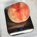 (주)푸른솔농원 | 2025년 9월 1주차 복숭아 결산 : 골말농원 황귀비, 반도원 아오조라무스메