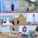 T/M (통통유통) | 강원 속초해수욕장 ~ 아바이벽화마을 ~ 청호해수욕장 : 산책 도보 뚜벅이 코스