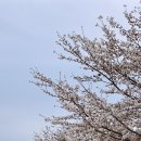 한빛중기 | 애플이일기 | 22주-25주･임당검사 통과･소제동 데이트･바다여행･엑스포 한빛탑 산책