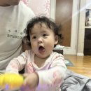 (주)맥스파마 | 돌아기 키우는 워킹맘(인생 첫 파마, 마지막 문센, 밥태기, 베베드피노 봄신상 귀여워)