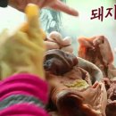 정순순대 이미지