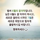 부비부비