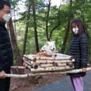 국립검마산자연휴양림 이미지