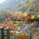 옥천자원 | 옥천 이야기, 전통 먹거리, 자연 관광지 추천