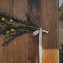 헤이쥬드 이미지