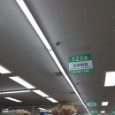 현대공판장 | 양재동 꽃시장 주말 오픈 방문 후기 (꽃 가격, 종류 추천)