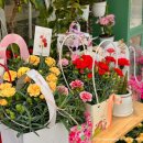 산호대로35길-2 이미지