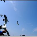 인천의 섬 이야기 이미지