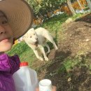 덕송농장 이미지