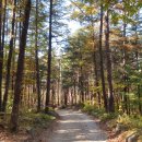 창우7통 이미지