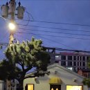 그림쟁이몬나니 | 제주 함덕 감성 소품샵 - 냥 소품샵 사가냥, 그림쟁이몬나니