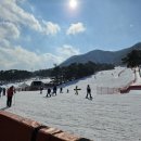 지산리조트테라스스키렌탈샵 이미지