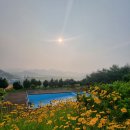 모텔가향 | 전남 진도 펜션 산새소리 펜션 후기