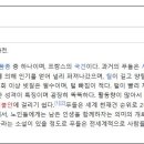 야옹아 멍멍해봐 동탄하나로점 네이버블로그