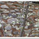 청마문학관 이미지