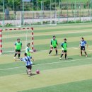 영암종합스포츠타운 축구장 이미지