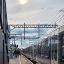 중곡교회작은도서관 | 영국 워홀│ Meetup 모임 후기, 버블티 모임, 무료 영어 회화 모임, 도서관 회원증, 런던 장바구니 물가