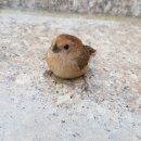 호반숲속 작은도서관 이미지