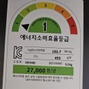 이레자