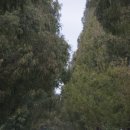 죽동마을 이미지