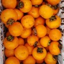 양촌목장 이미지