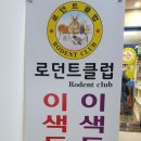로던트클럽화정 | 로던트 클럽 <이색동물카페 , 이색동물분양>