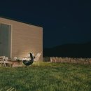 단비고집 이미지