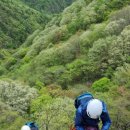 오지5구 이미지