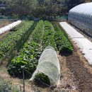 장현농장 이미지