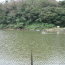 수암낚시터 이미지