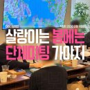 요즘 직장인들 소개팅 어디가 핫한가요? 다소니설레임 대구 부산 6월 로테이션 미팅 안내