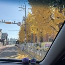 군산문화초등학교 | 11월 3주, 제주 다녀온 나