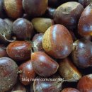 주운농장 이미지