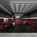 은평투엑스휘트니스