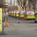 종합운동장119안전센터 이미지