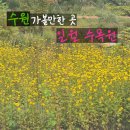 GS25 수원일월점 | 내돈내산 수원 일월 수목원 [25.09.12 방문] 후기