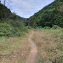 마지1리 이미지