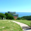 펜션하슬라민박 티스토리